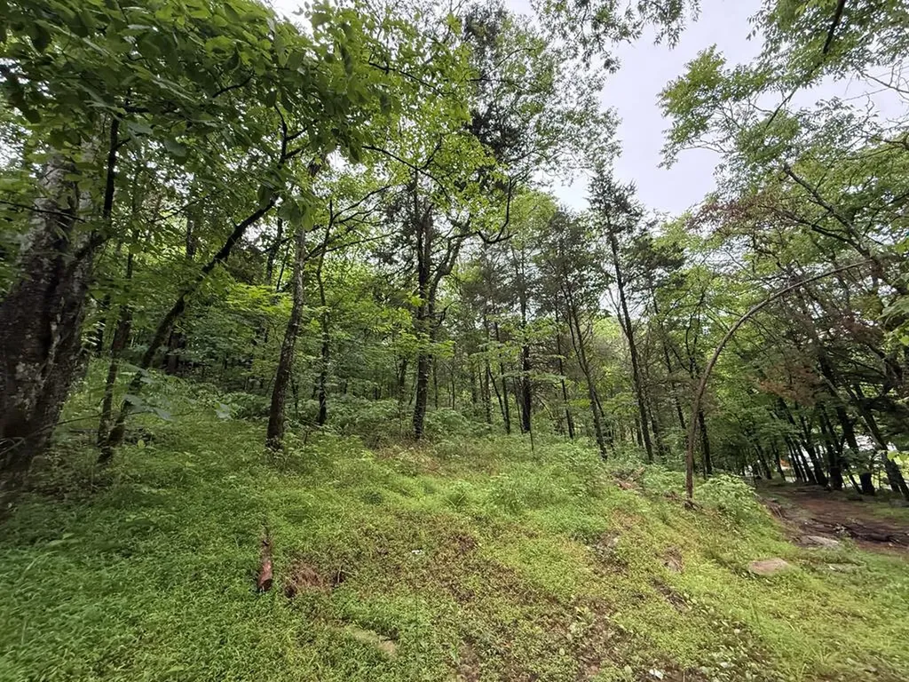 940 Riley Creek Road Whitleyville TN 38588