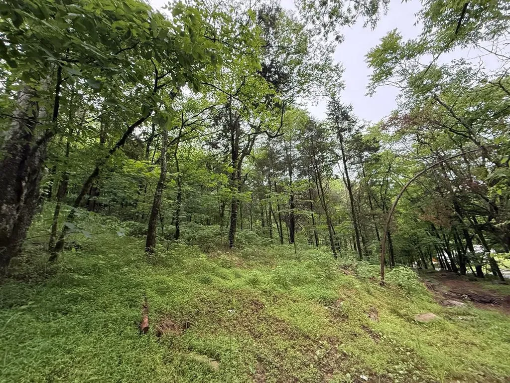 940 Riley Creek Road Whitleyville TN 38588