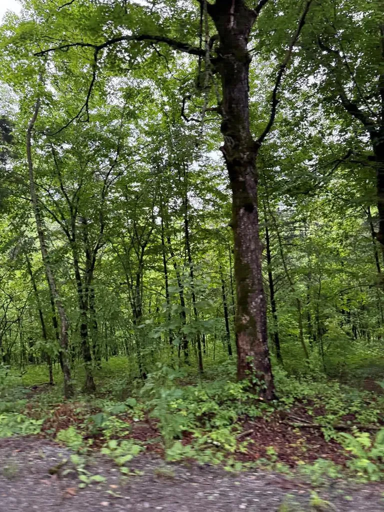 940 Riley Creek Road Whitleyville TN 38588