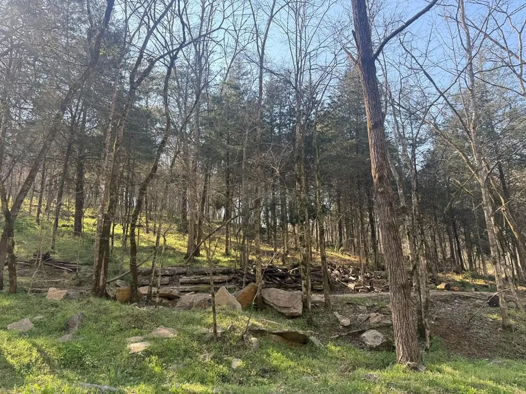 940 Riley Creek Road Whitleyville TN 38588