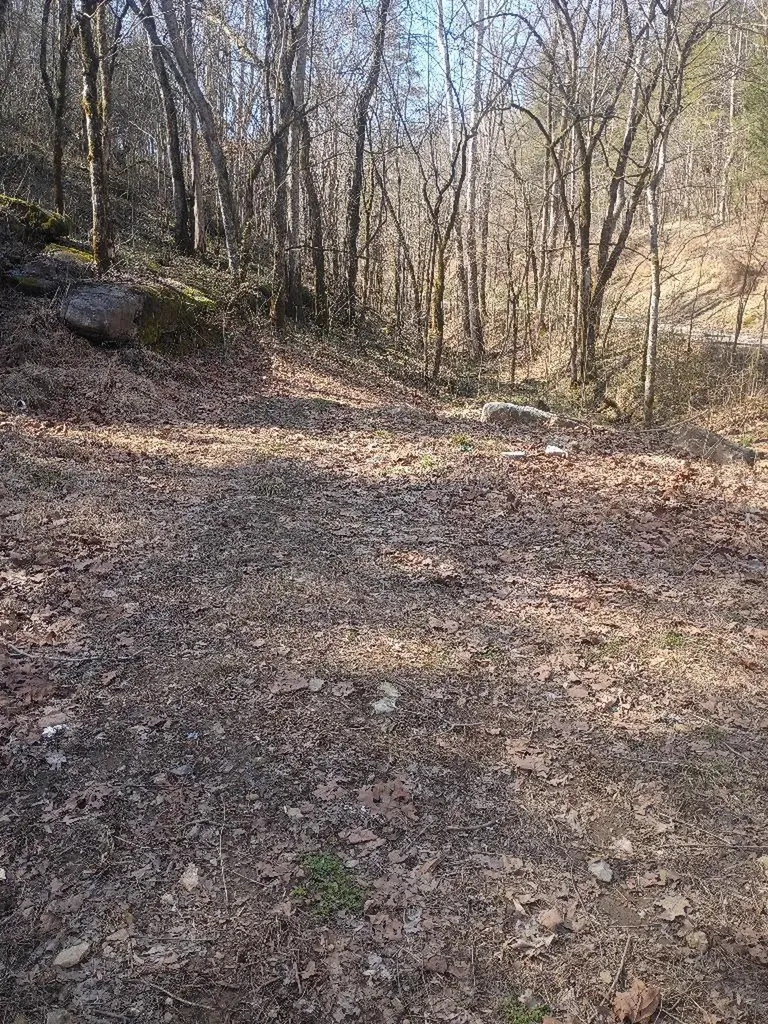 940 Riley Creek Road Whitleyville TN 38588