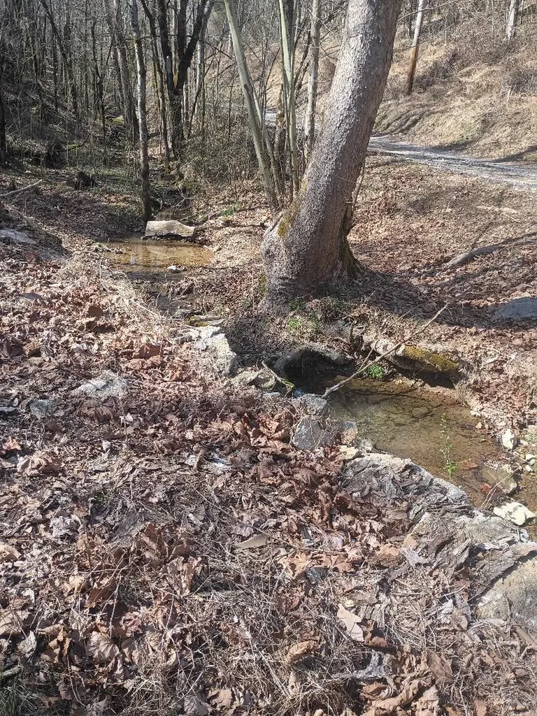 940 Riley Creek Road Whitleyville TN 38588