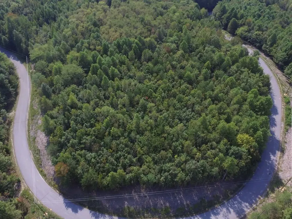 Lot 31 Overlook Drive Spencer TN 38585