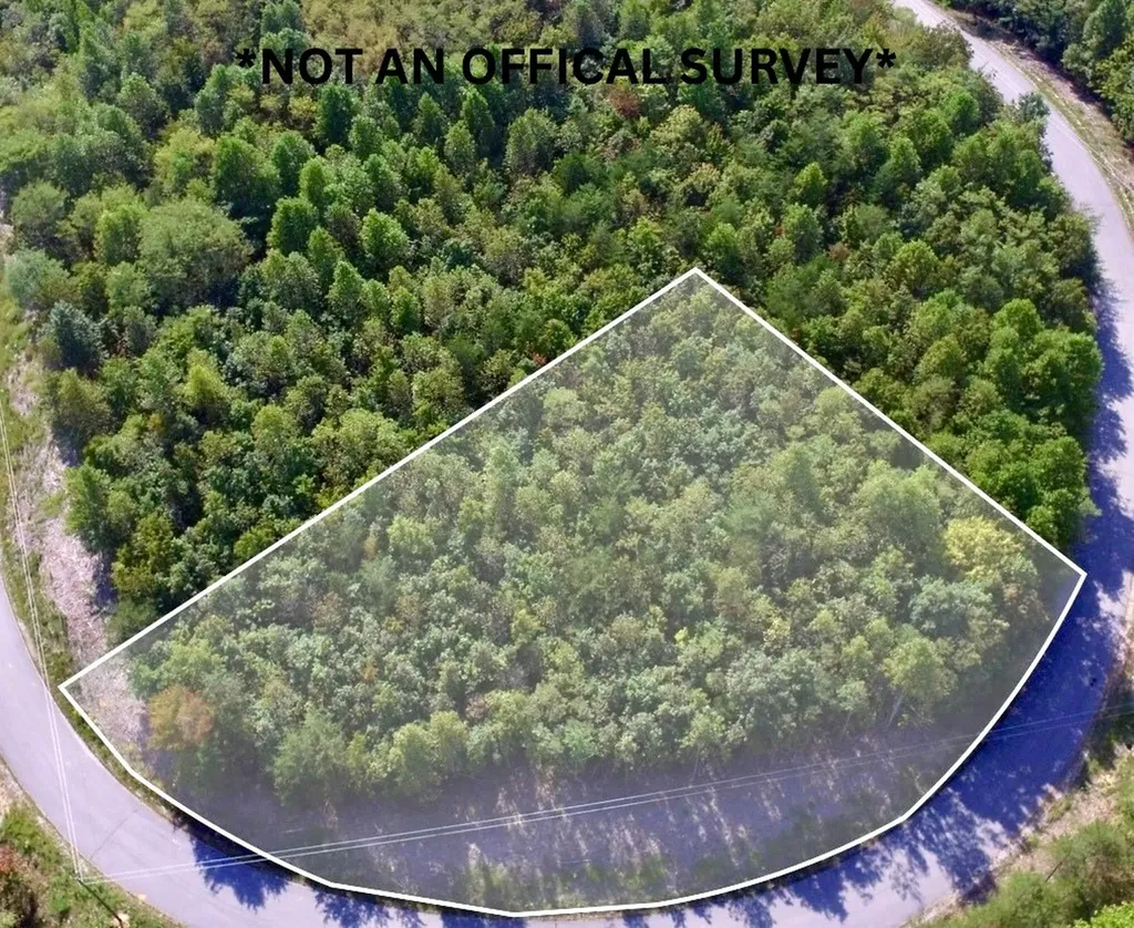 Lot 31 Overlook Drive Spencer TN 38585