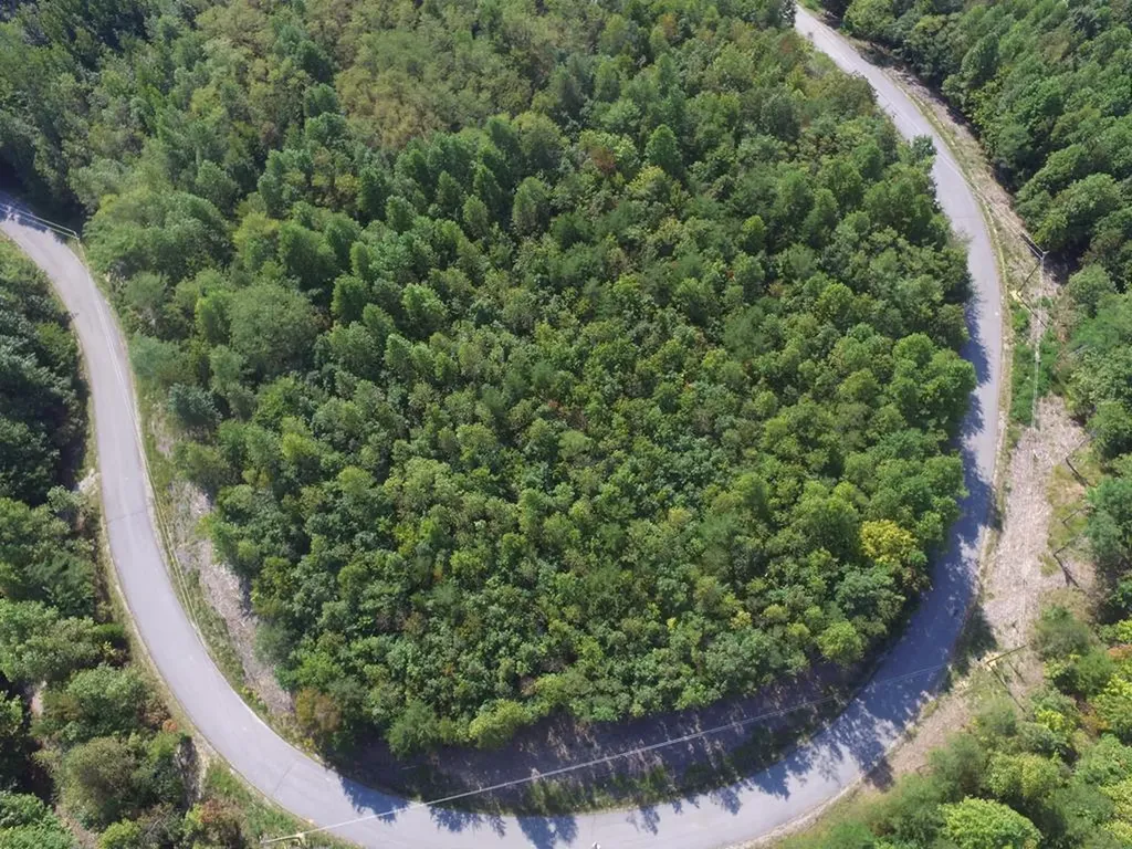 Lot 31 Overlook Drive Spencer TN 38585