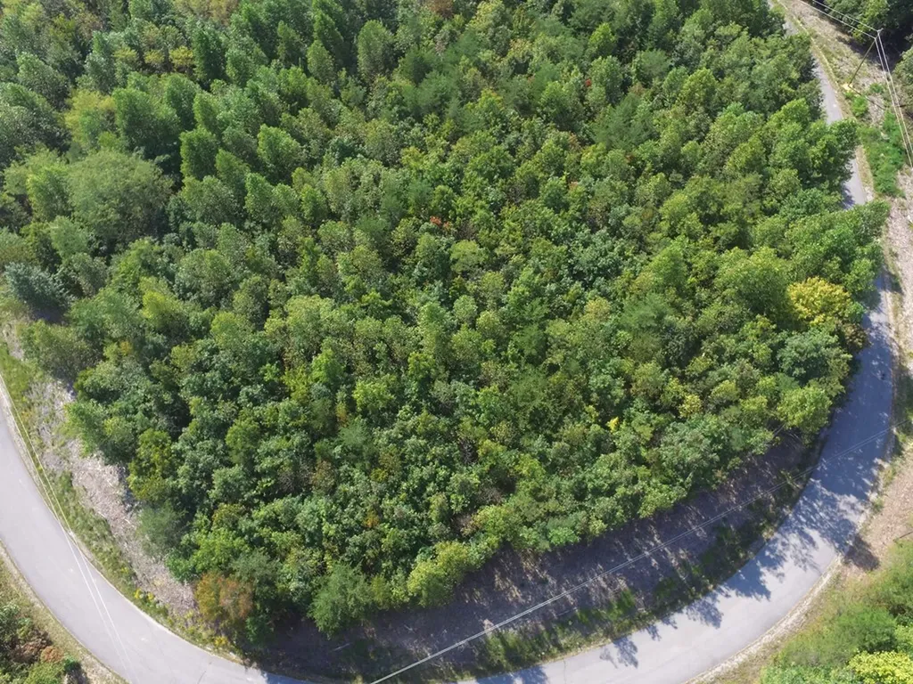 Lot 31 Overlook Drive Spencer TN 38585