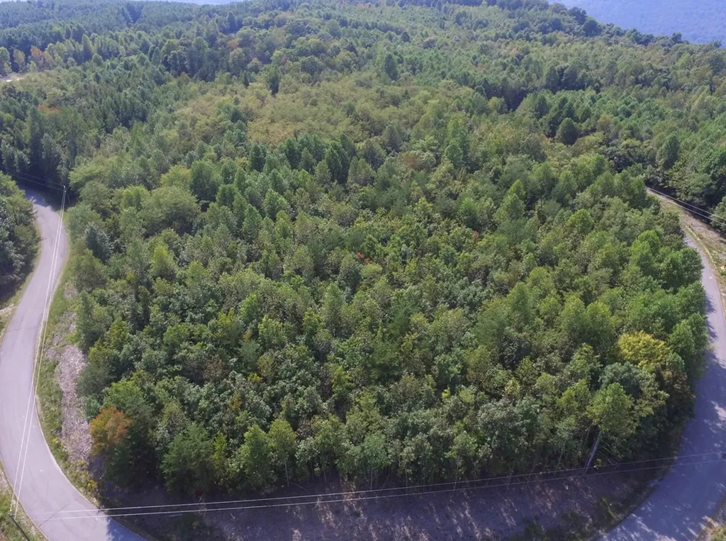 Lot 31 Overlook Drive Spencer TN 38585