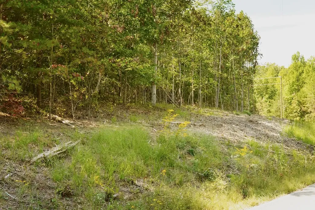 Lot 31 Overlook Drive Spencer TN 38585