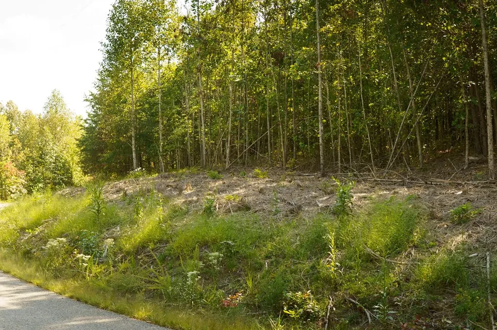 Lot 31 Overlook Drive Spencer TN 38585