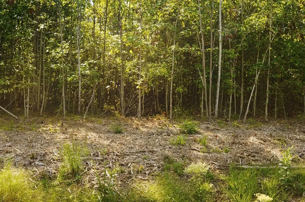 Lot 31 Overlook Drive Spencer TN 38585