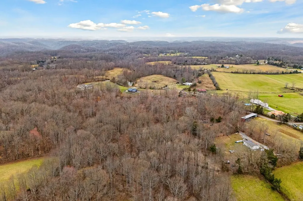 3944 Crawford Road Silver Point TN 38582-6014