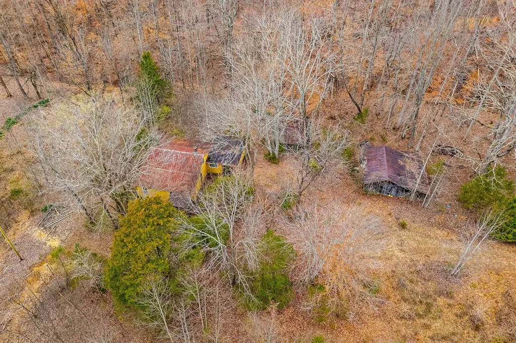 3944 Crawford Road Silver Point TN 38582-6014