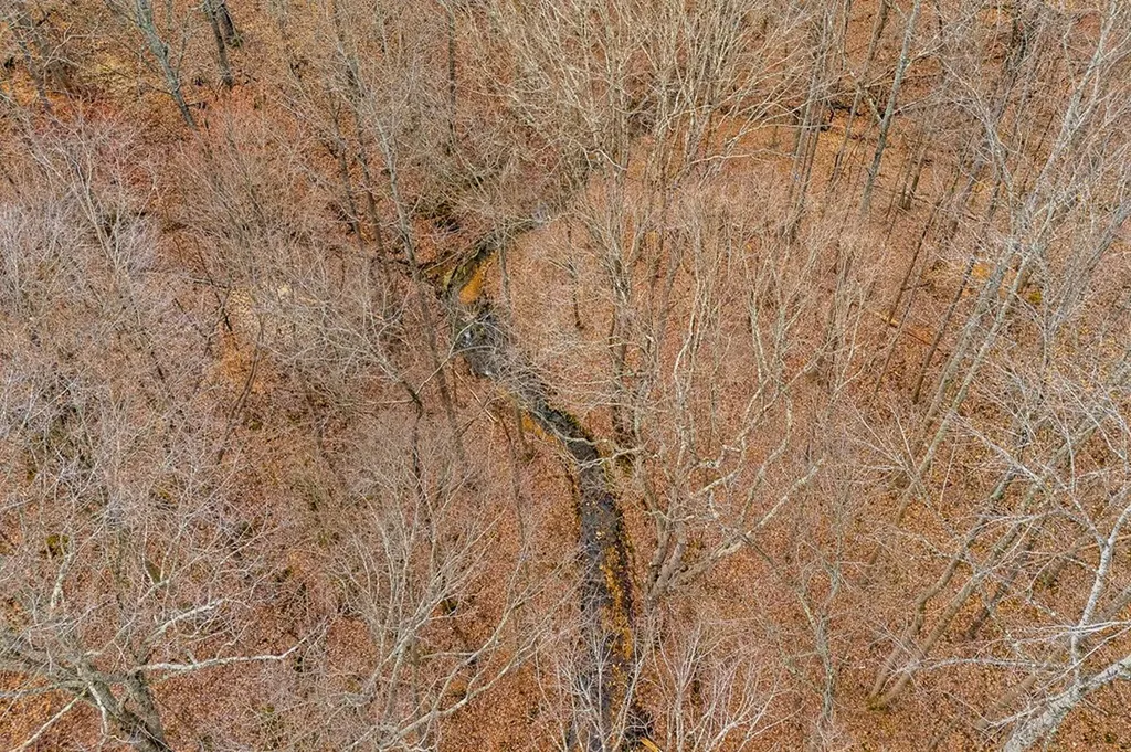 3944 Crawford Road Silver Point TN 38582-6014