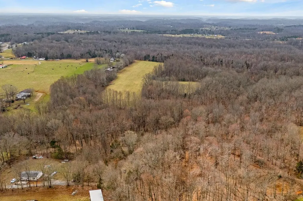 3944 Crawford Road Silver Point TN 38582-6014