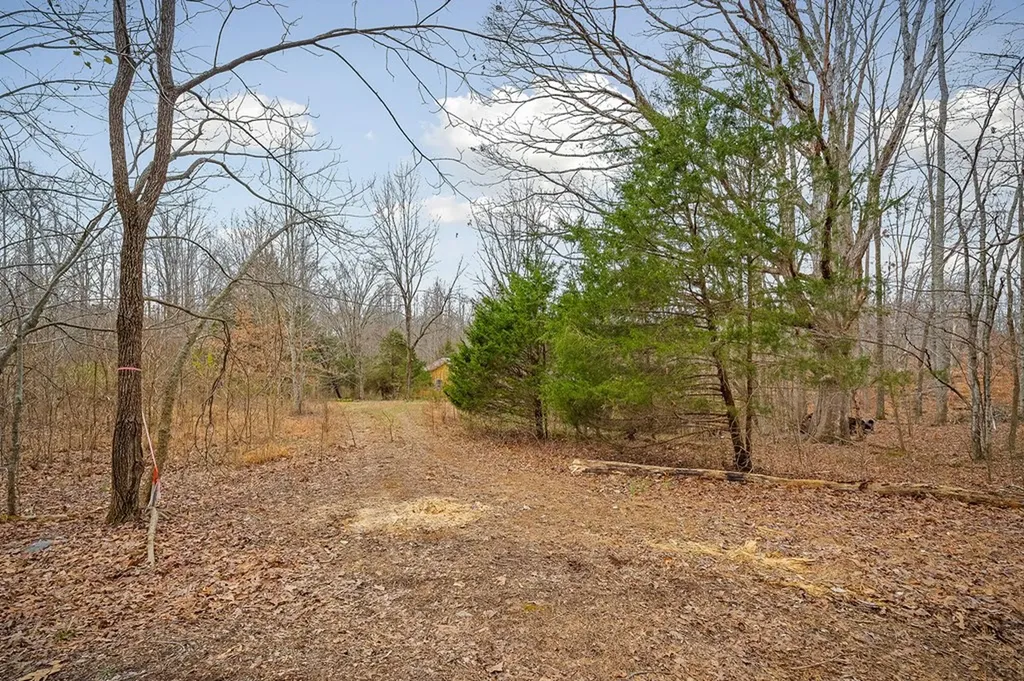 3944 Crawford Road Silver Point TN 38582-6014