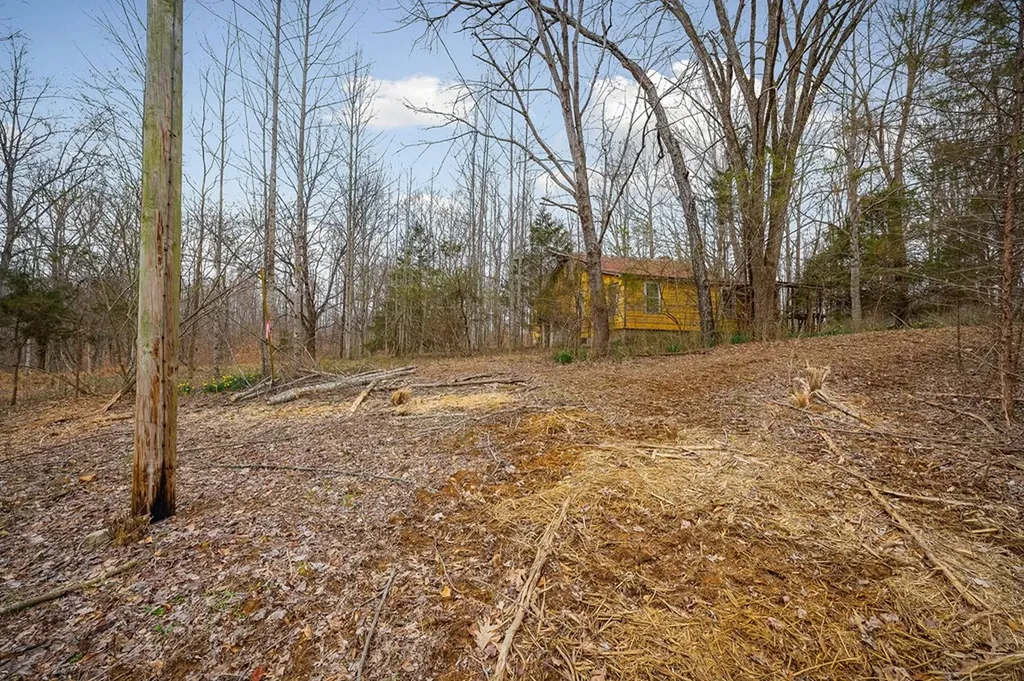 3944 Crawford Road Silver Point TN 38582-6014