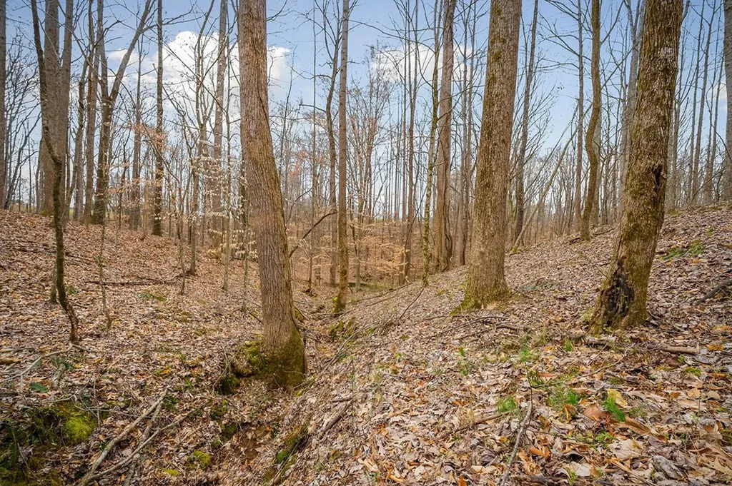 3944 Crawford Road Silver Point TN 38582-6014