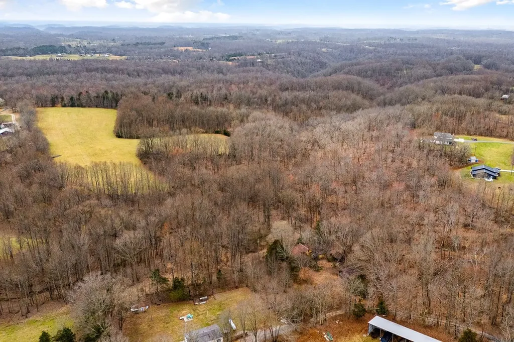 3944 Crawford Road Silver Point TN 38582-6014