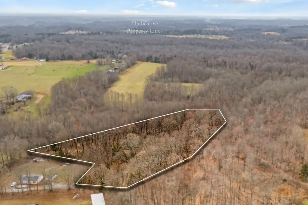 3944 Crawford Road Silver Point TN 38582-6014
