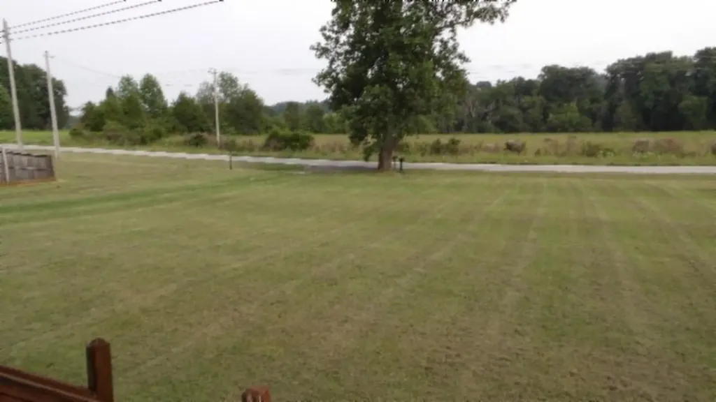 11500 Clay County Highway Moss TN 38568
