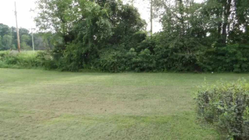 11500 Clay County Highway Moss TN 38568