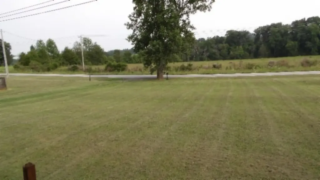 11500 Clay County Highway Moss TN 38568