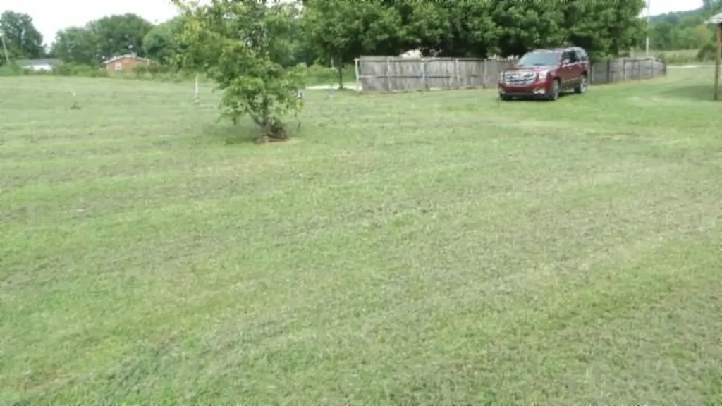 11500 Clay County Highway Moss TN 38568