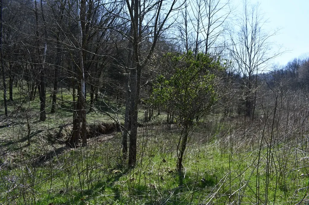 217.5AC Tick Ridge Road Celina TN 38551