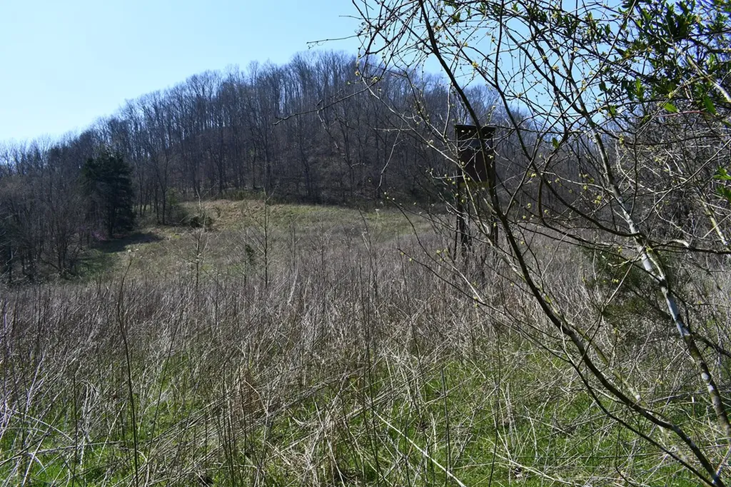 217.5AC Tick Ridge Road Celina TN 38551