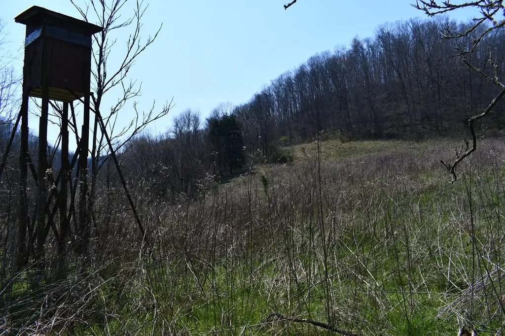 217.5AC Tick Ridge Road Celina TN 38551