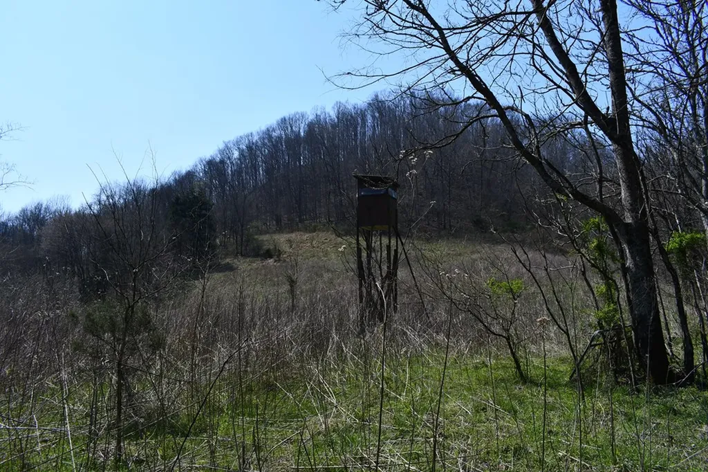 217.5AC Tick Ridge Road Celina TN 38551