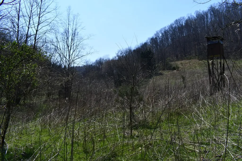 217.5AC Tick Ridge Road Celina TN 38551