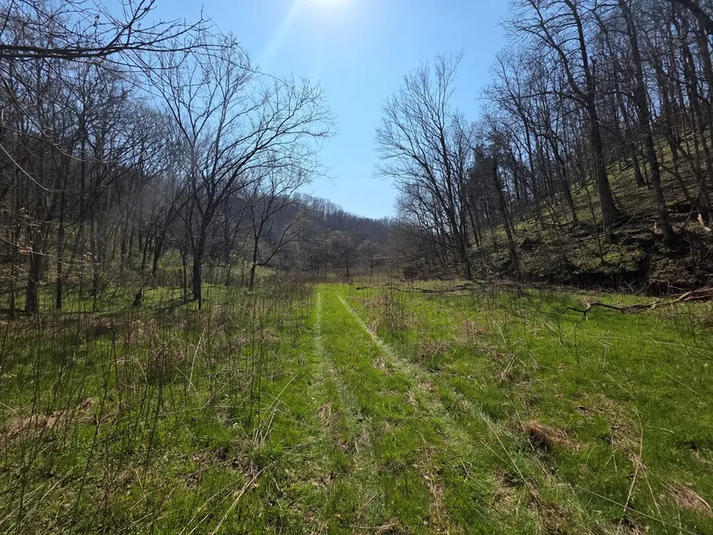 101.3AC Dry Mill Creek Hilham TN 38568