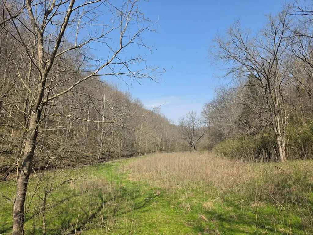 101.3AC Dry Mill Creek Hilham TN 38568