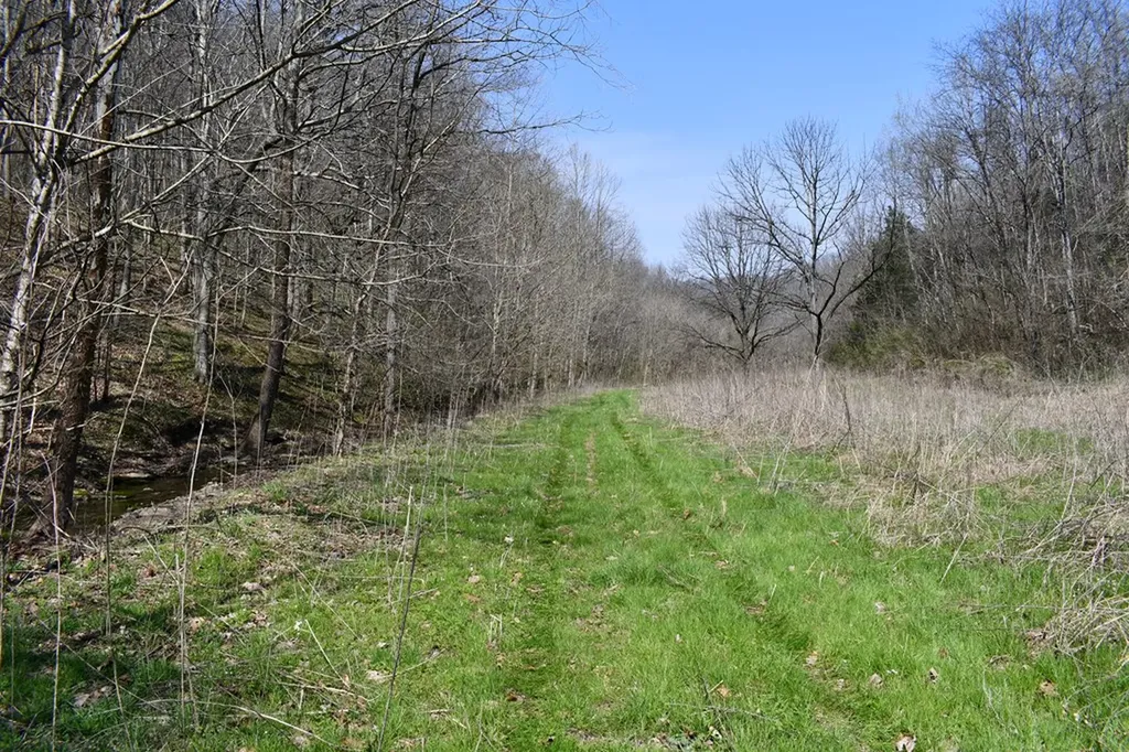 101.3AC Dry Mill Creek Hilham TN 38568
