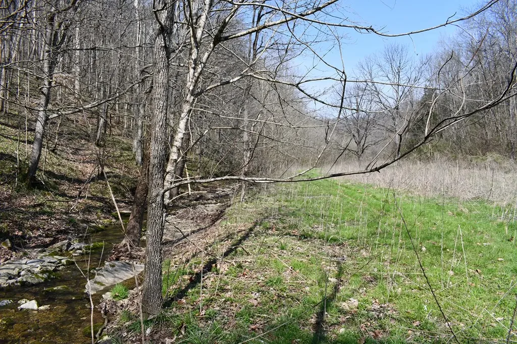 101.3AC Dry Mill Creek Hilham TN 38568