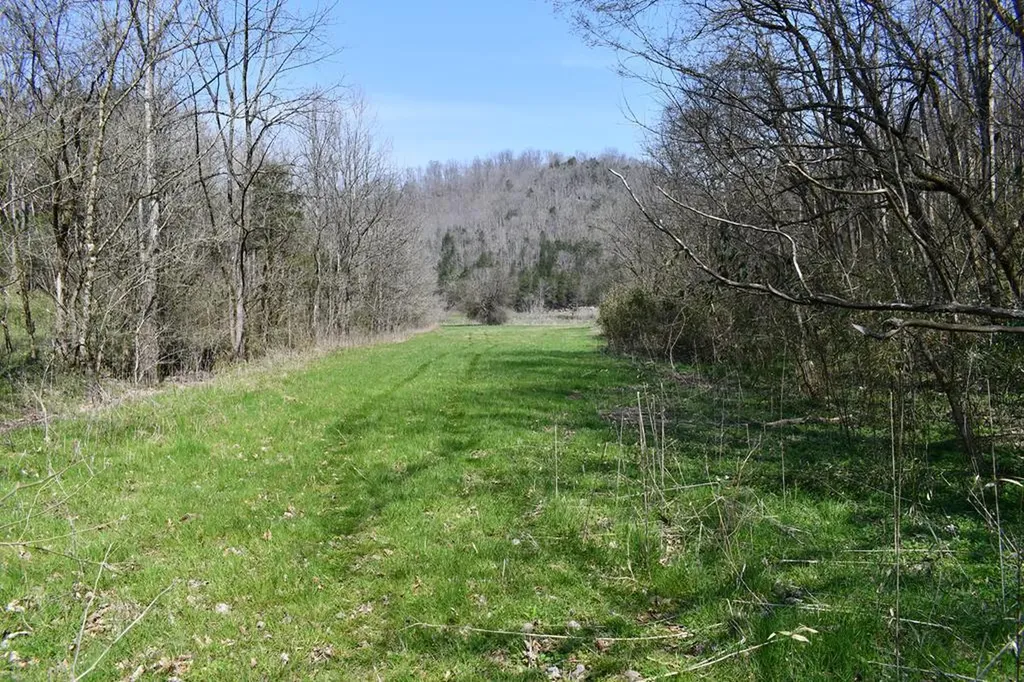 101.3AC Dry Mill Creek Hilham TN 38568