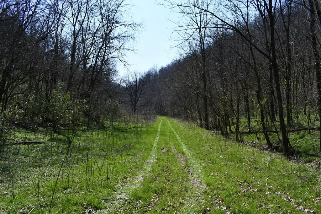 101.3AC Dry Mill Creek Hilham TN 38568