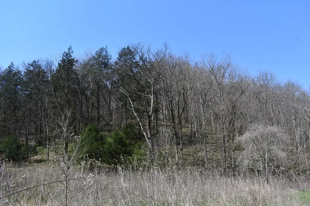 101.3AC Dry Mill Creek Hilham TN 38568