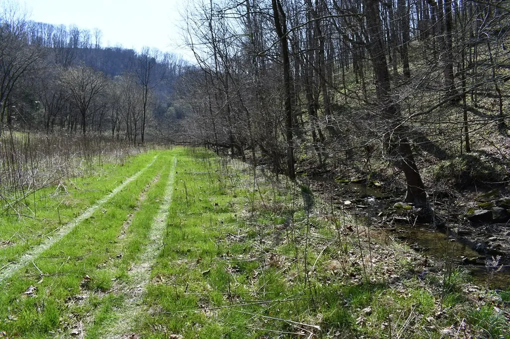 101.3AC Dry Mill Creek Hilham TN 38568