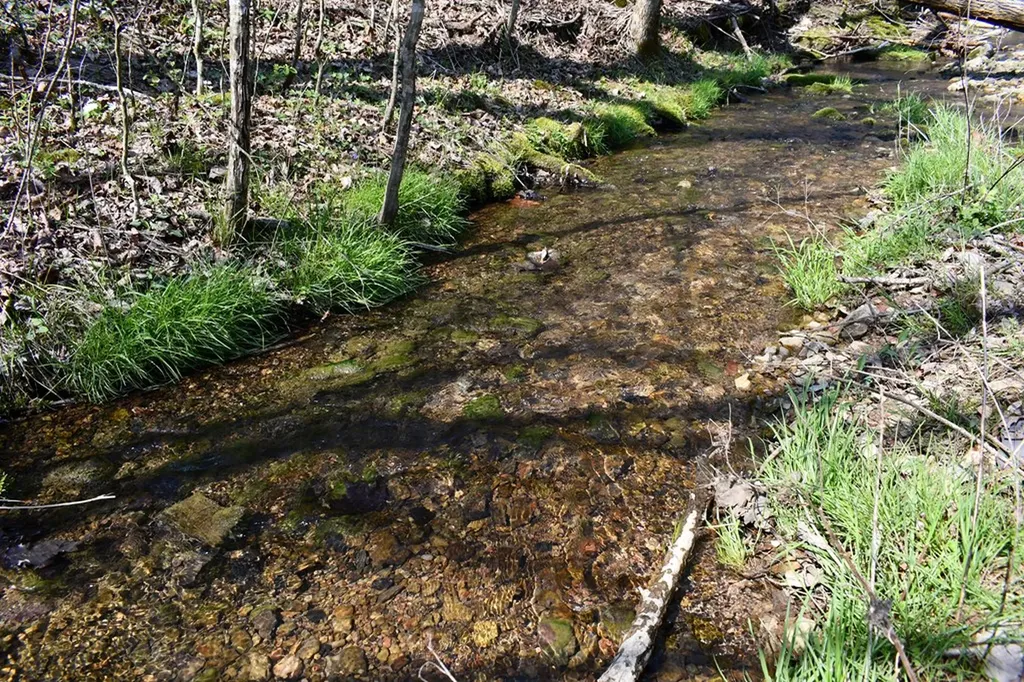 101.3AC Dry Mill Creek Hilham TN 38568