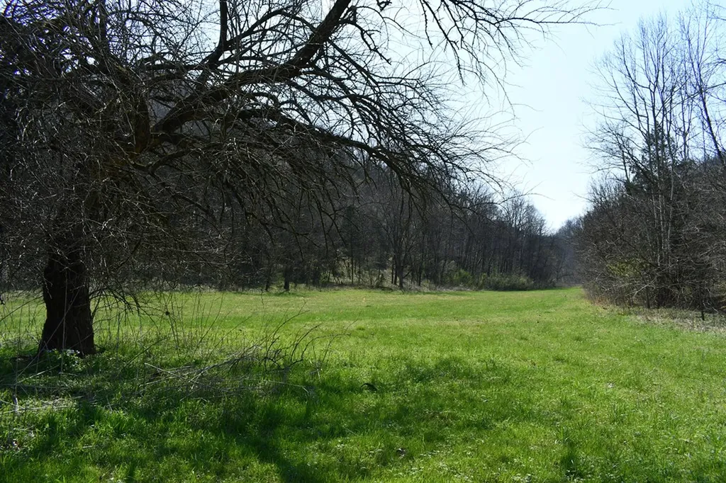 101.3AC Dry Mill Creek Hilham TN 38568