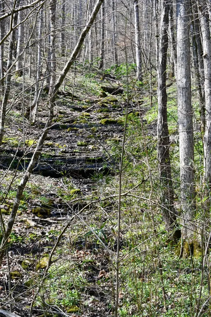 101.3AC Dry Mill Creek Hilham TN 38568