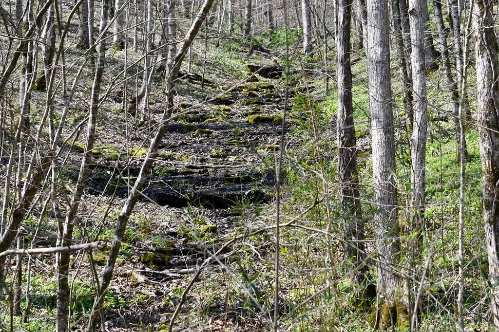 101.3AC Dry Mill Creek Hilham TN 38568