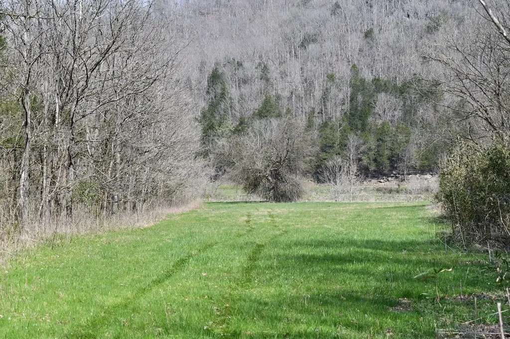 101.3AC Dry Mill Creek Hilham TN 38568