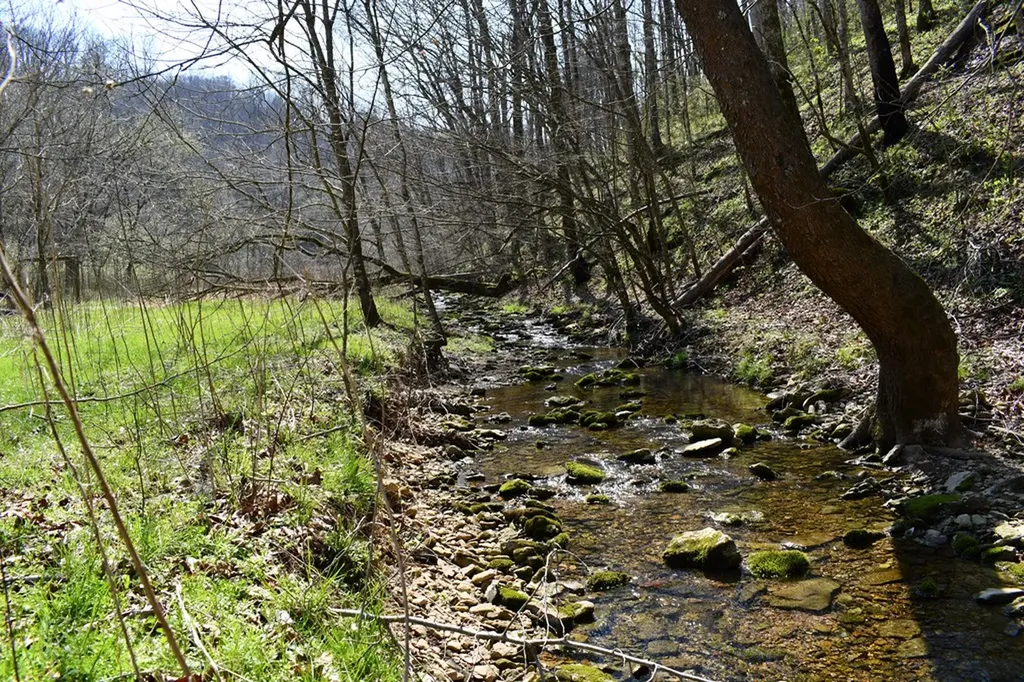 101.3AC Dry Mill Creek Hilham TN 38568