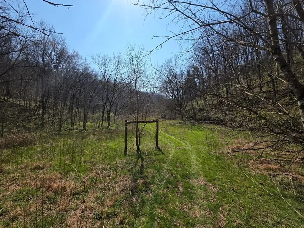 101.3AC Dry Mill Creek Hilham TN 38568