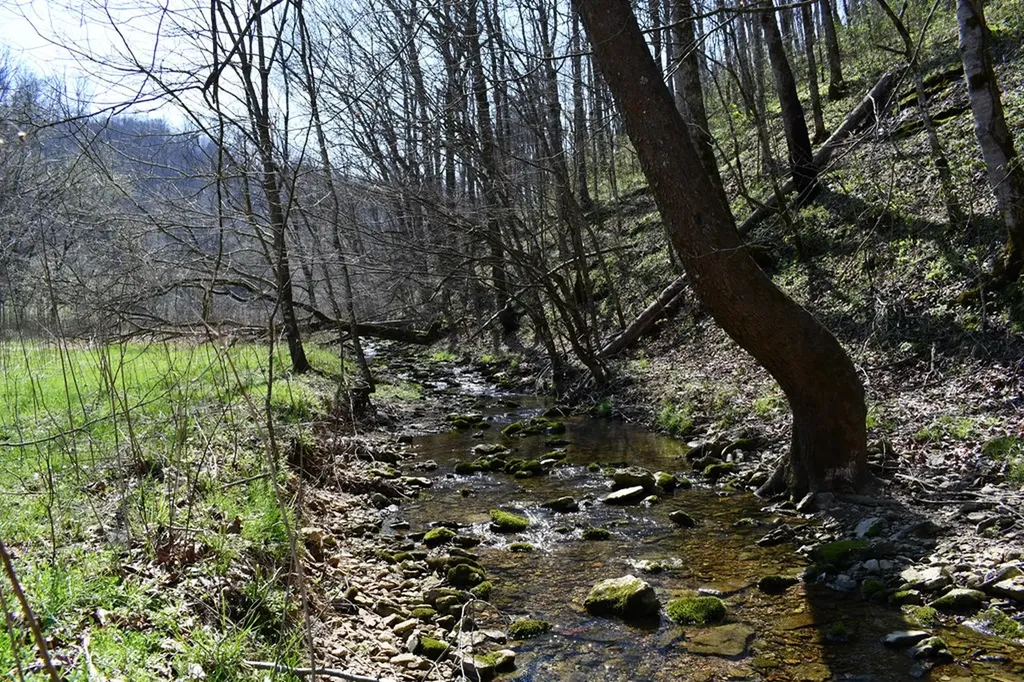 101.3AC Dry Mill Creek Hilham TN 38568