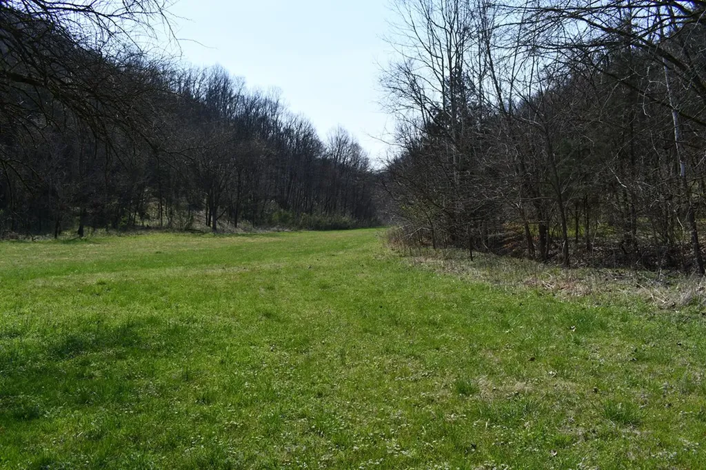 101.3AC Dry Mill Creek Hilham TN 38568