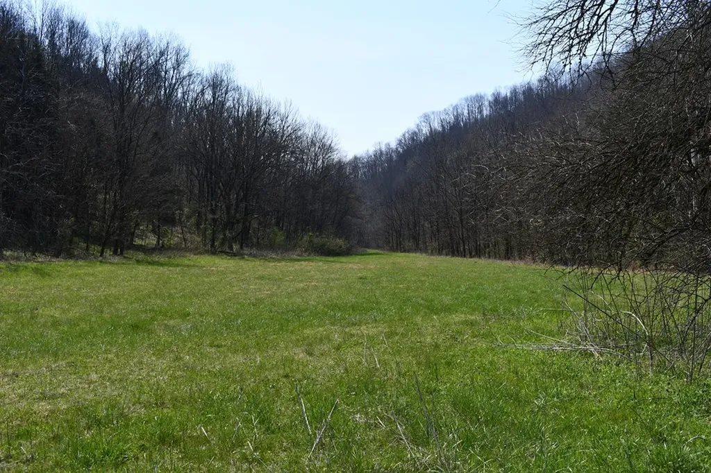101.3AC Dry Mill Creek Hilham TN 38568